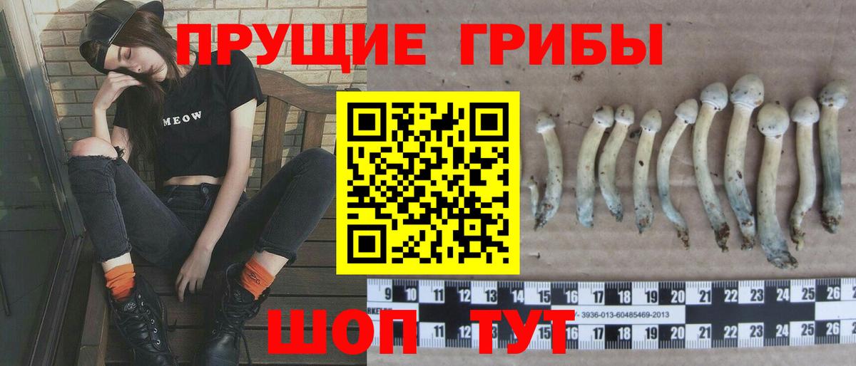 Псилоцибиновые грибы Cubensis  Псилоцибиновые грибы Psilocybe  Вход с VPN  Коломна 